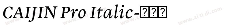 CAIJIN Pro Italic字体转换 CAIJIN Pro Italic字体转换